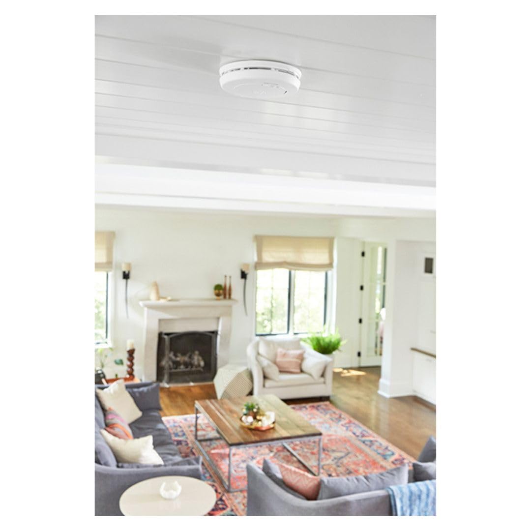 10-Year Battery Smoke and Carbon Monoxide Detector N3353
