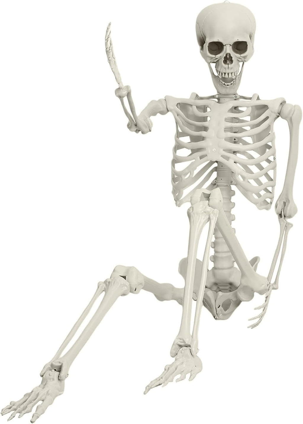 5.4ft Life Size Skeleton with Movable Joints F514694