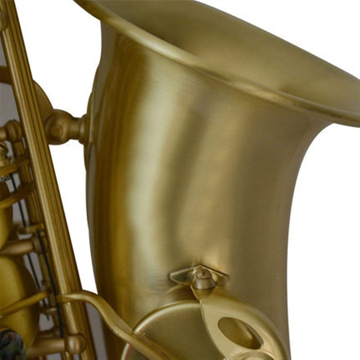 Alto Saxophone in E-Flat Saxophone Set R9309