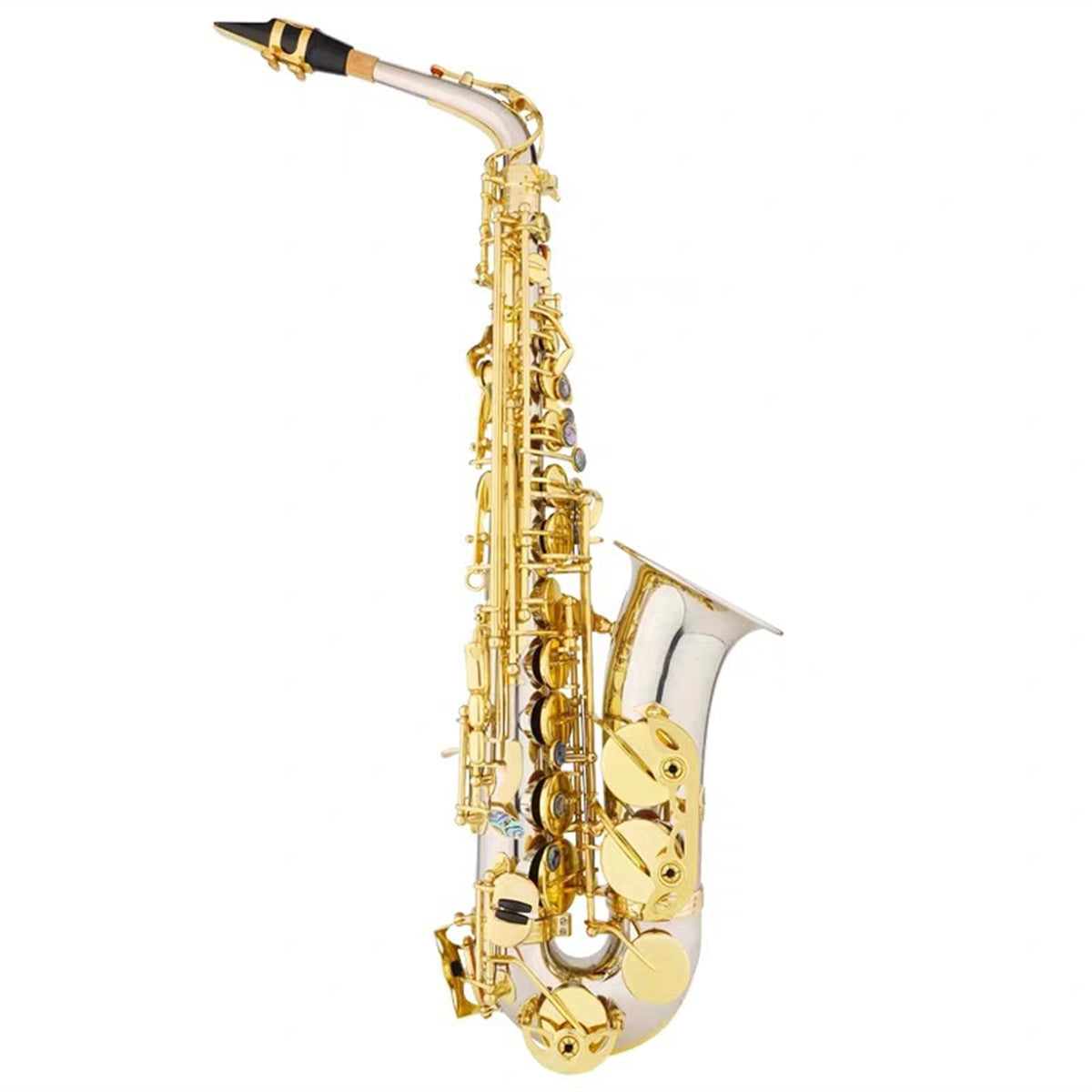 E Flat Alto Saxophone Wind Instrument Z118464