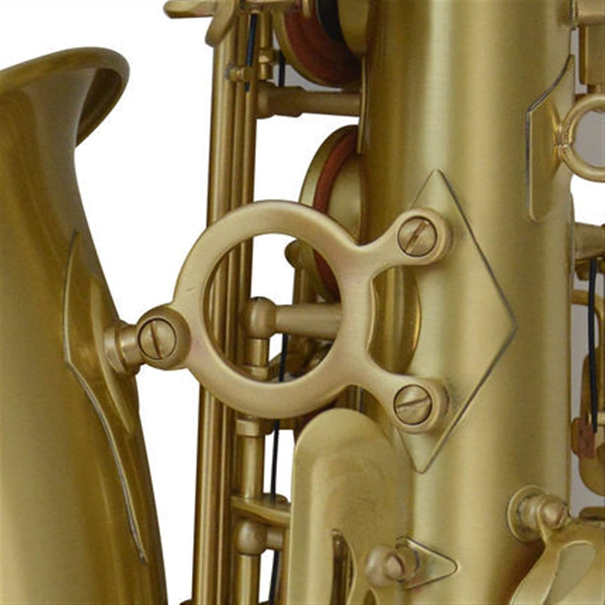 Alto Saxophone in E-Flat Saxophone Set R9309