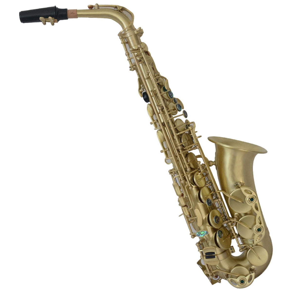 Alto Saxophone in E-Flat Saxophone Set R9309