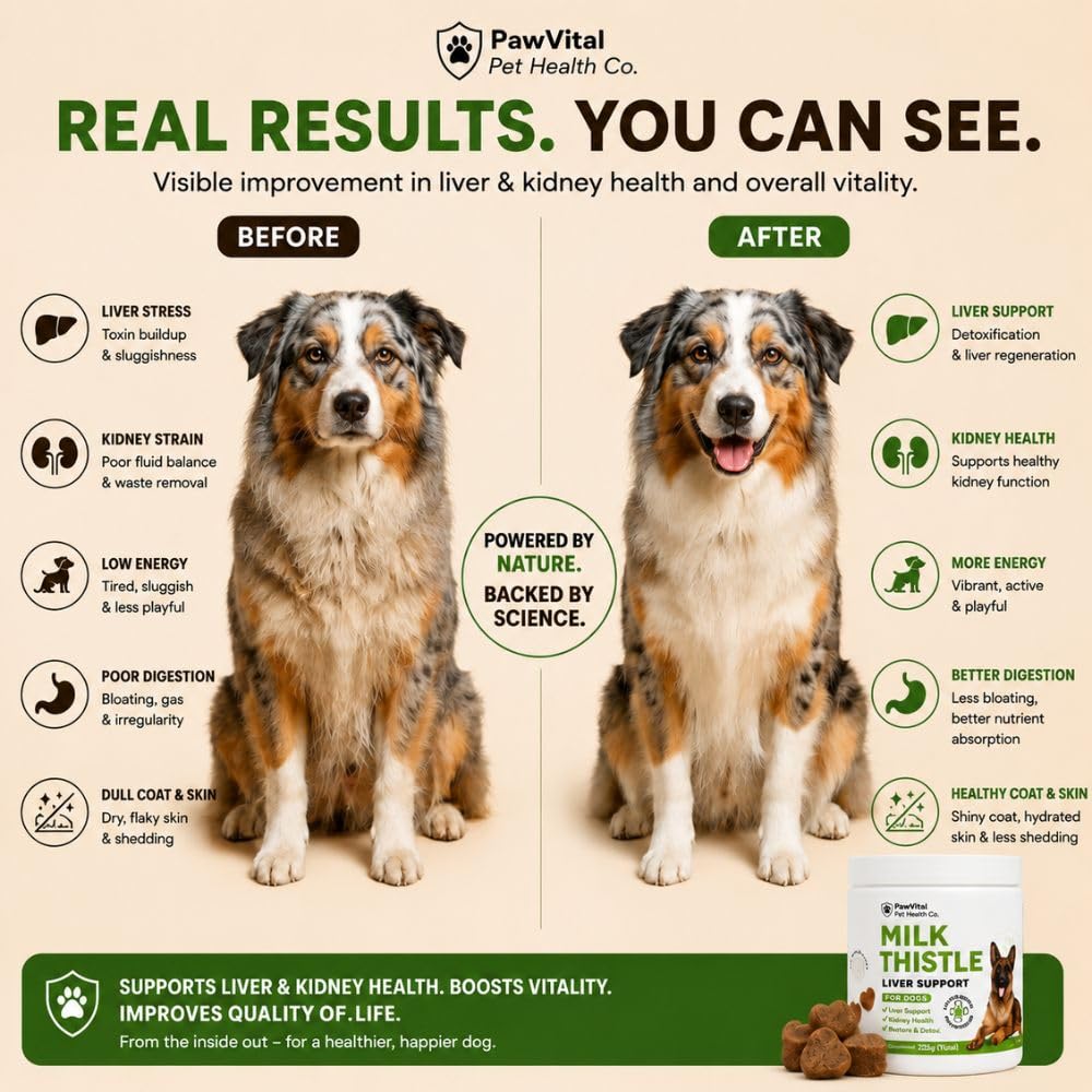Milk Thistle Liver Support Chews with Salmon Oil & Curcumin E363