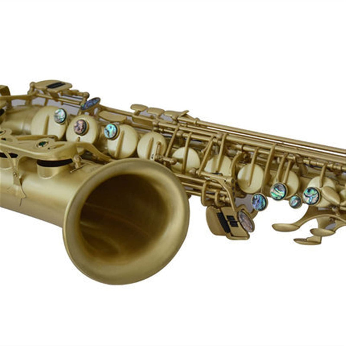 Alto Saxophone in E-Flat Saxophone Set R9309