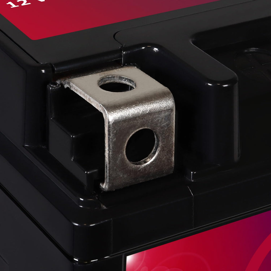 12V 11.2Ah Battery Z229