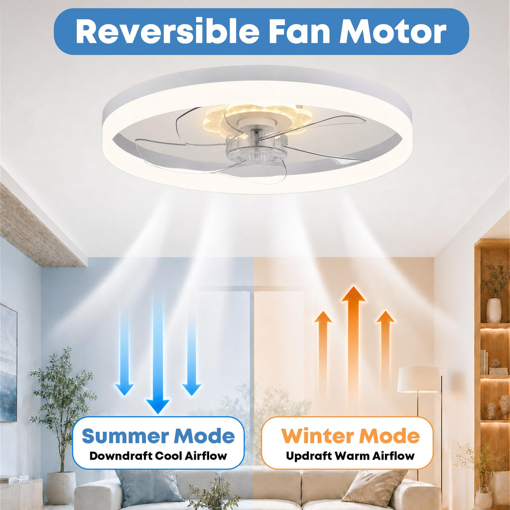20'' Ceiling Fan with Light and Remote P2611