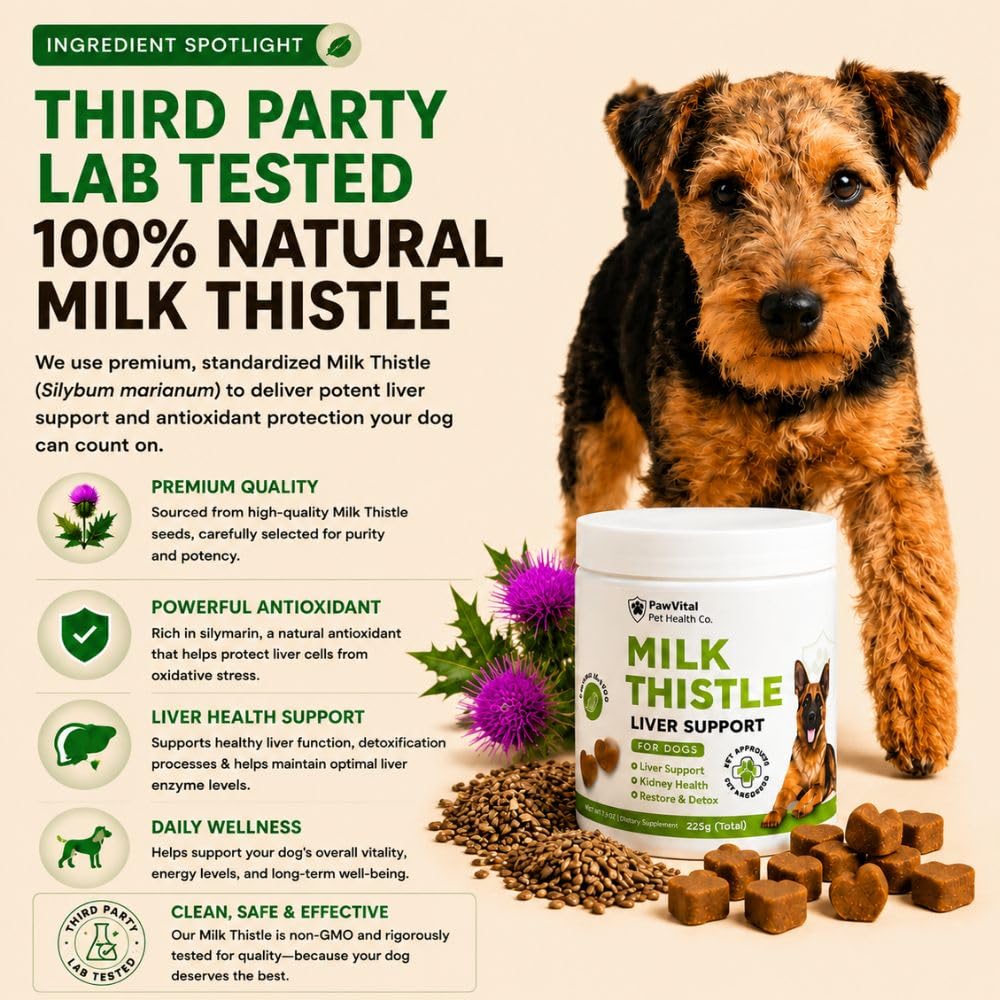 Milk Thistle Liver Support Chews with Salmon Oil & Curcumin E363