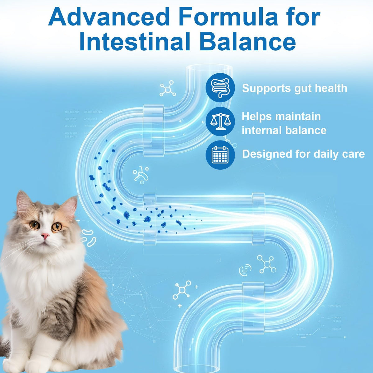 Cat and Kitten Dewormer 50 Tablets P8087