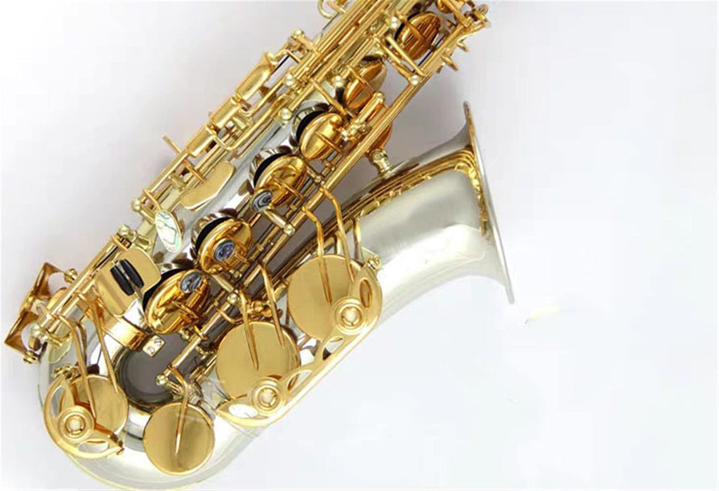 E Flat Alto Saxophone Wind Instrument Z118464