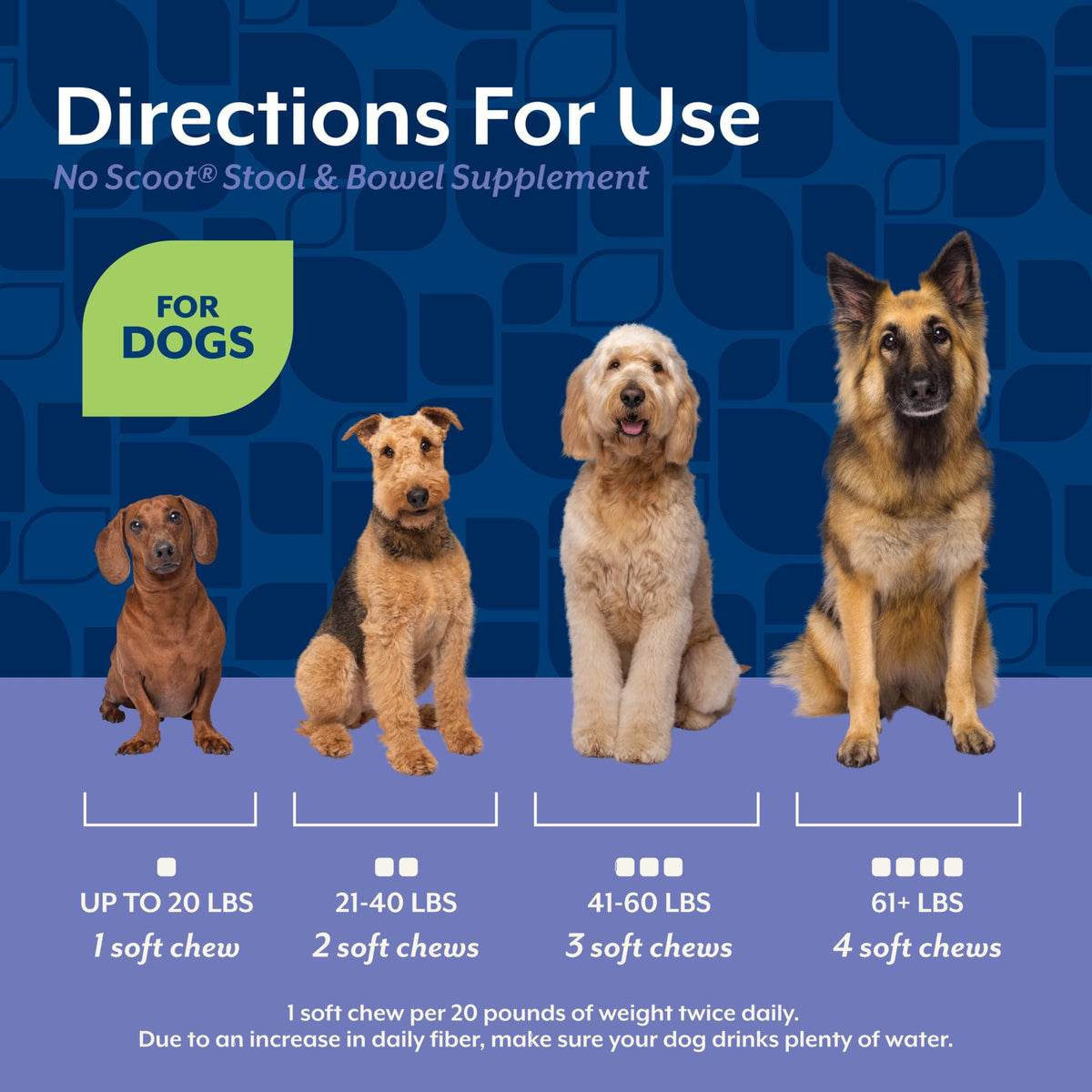 Dog Stool and Bowel Supplement 60 Soft Chews T7765