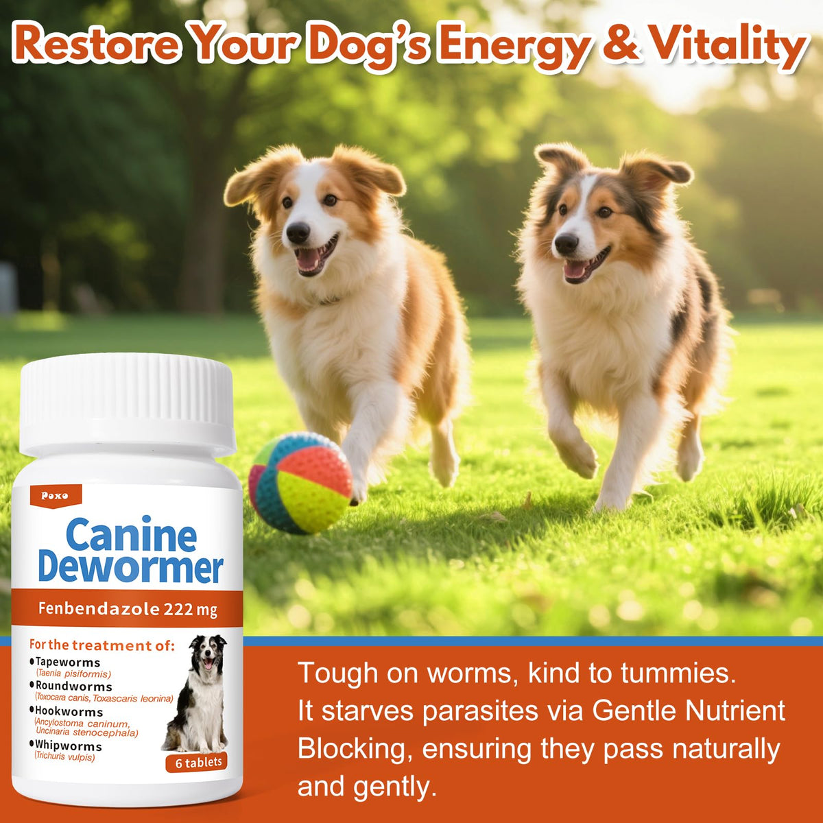 Fenbendazole Tablets for Dogs 6 Tablets C4107