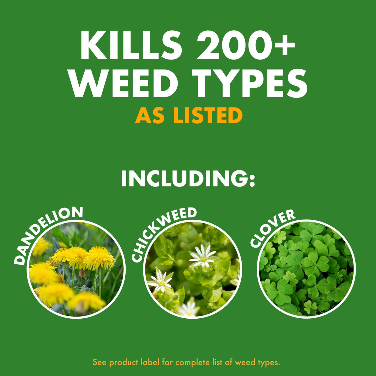 1 Gal Concentrate Weed Stop for Lawns G8676