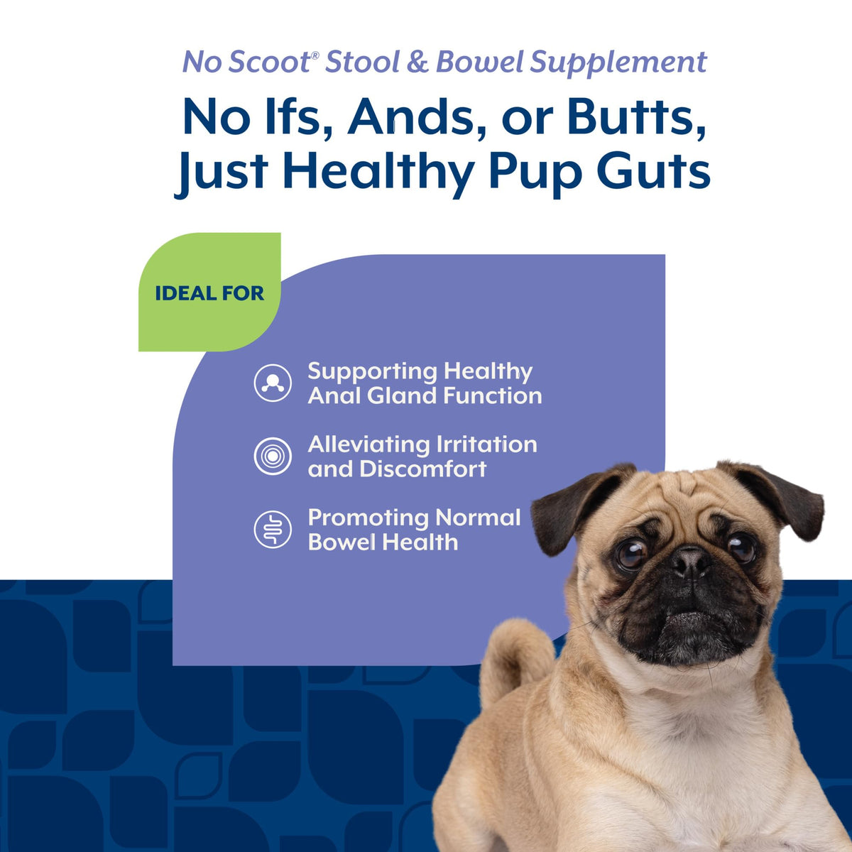 Dog Stool and Bowel Supplement 60 Soft Chews T7765