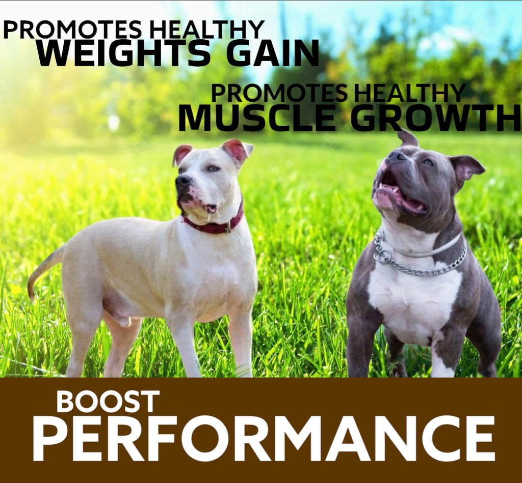 Chewable Tablets for Dogs L84248