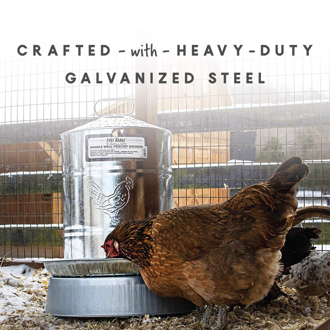 5 Gallons Double Wall Poultry Drinker W44160
