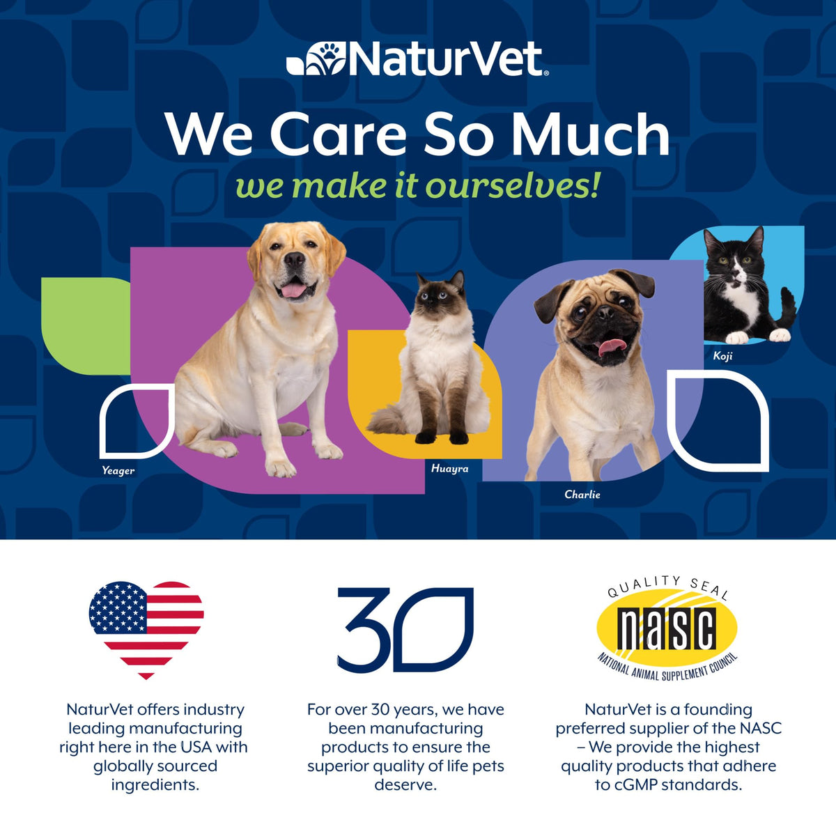 Dog Stool and Bowel Supplement 60 Soft Chews T7765