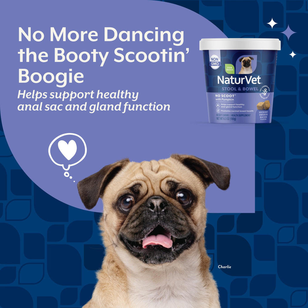 Dog Stool and Bowel Supplement 60 Soft Chews T7765