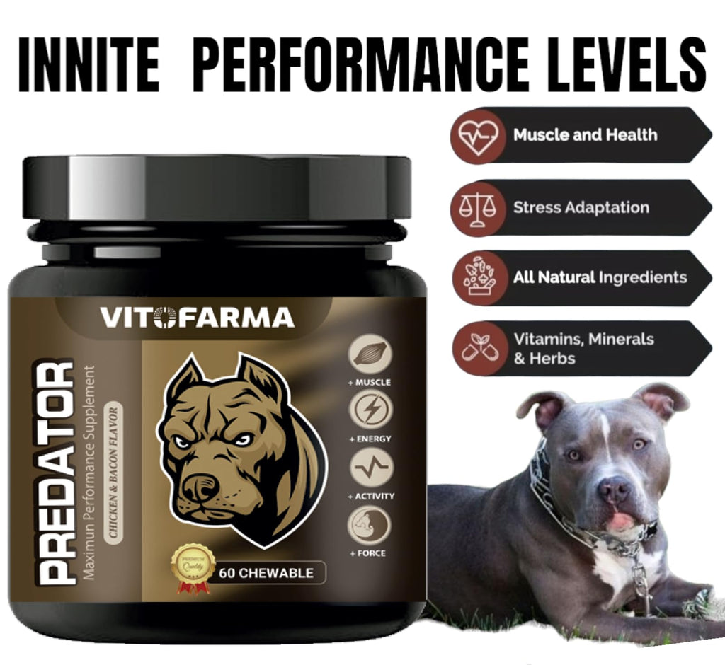 Chewable Tablets for Dogs L84248