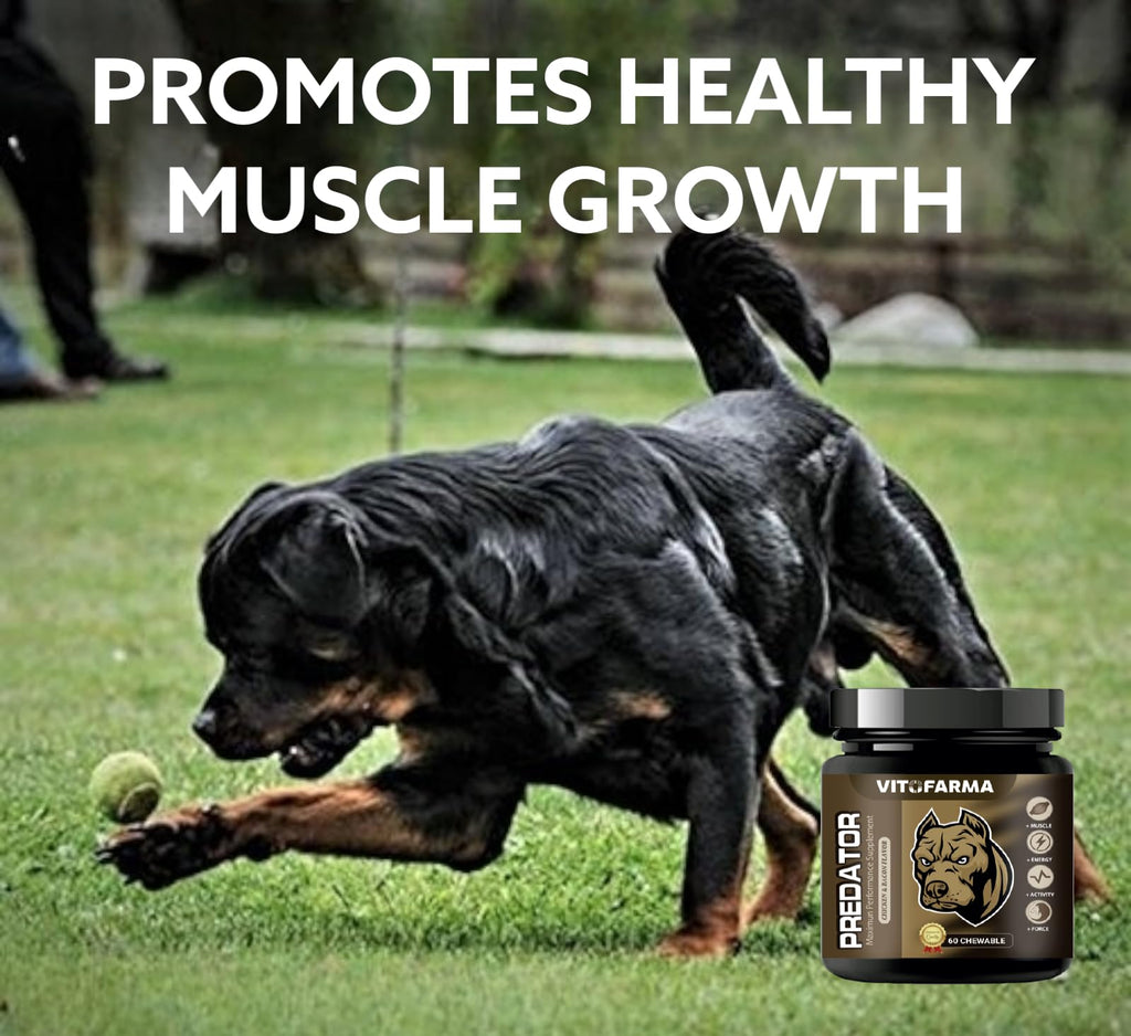 Chewable Tablets for Dogs L84248