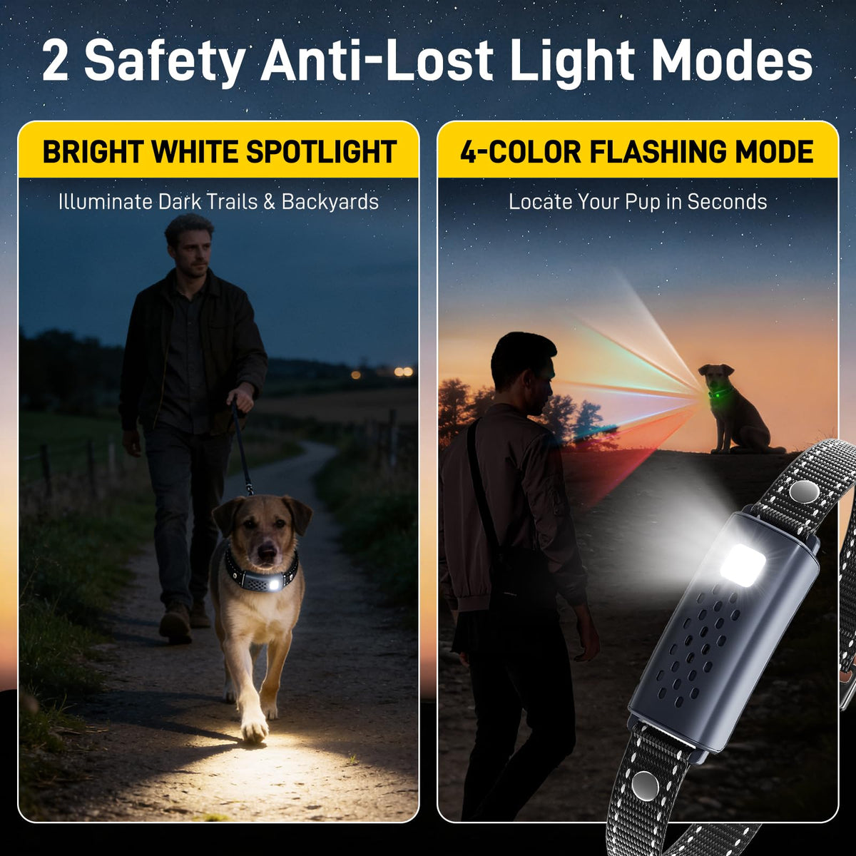 Waterproof Rechargeable Dog Training Collar with Remote W5220