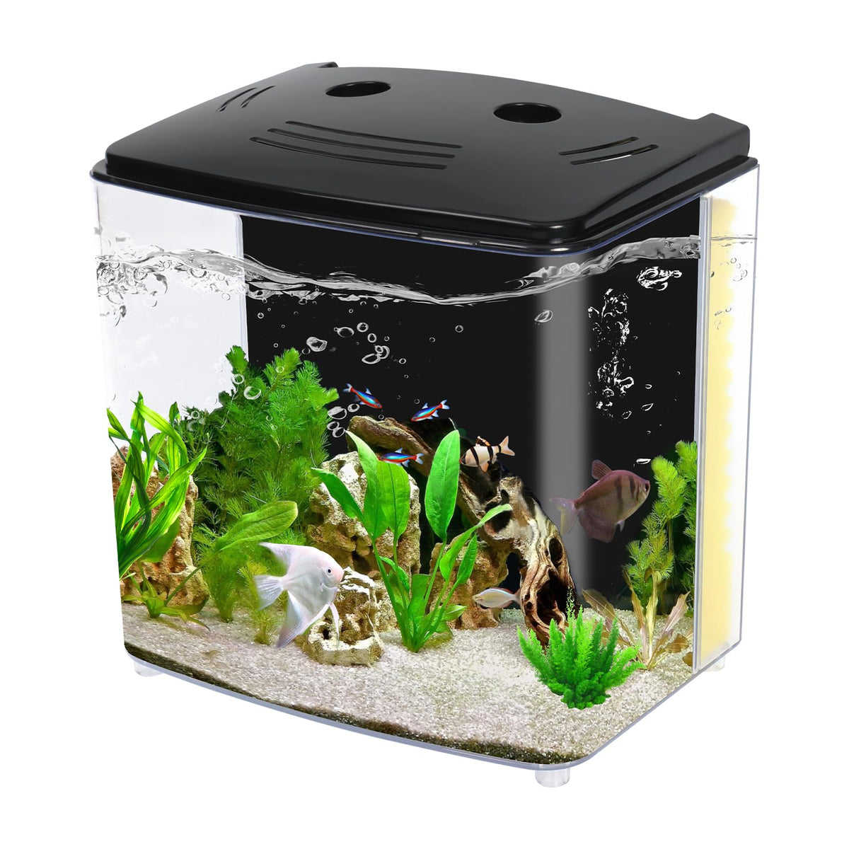 1.2 Gallon Aquarium Starter Kit with LED Light and Water Filter Pump H682