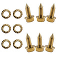 3/8 in x 1 in Self Tap Screw 6P V474