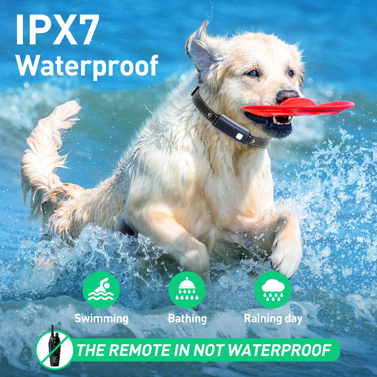 Waterproof Rechargeable Dog Training Collar with Remote W5220