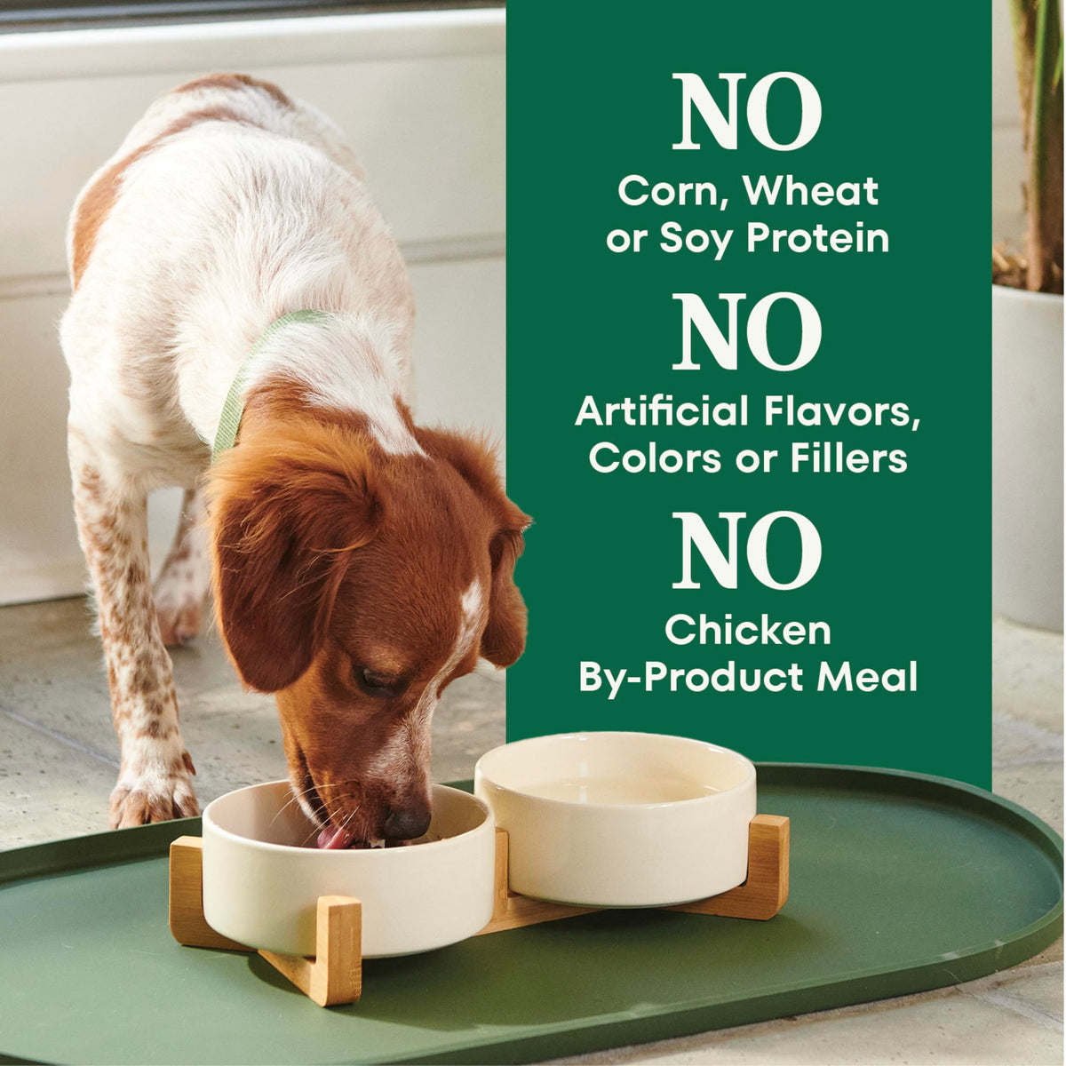 Chicken & Rice Dry Dog Food L467934