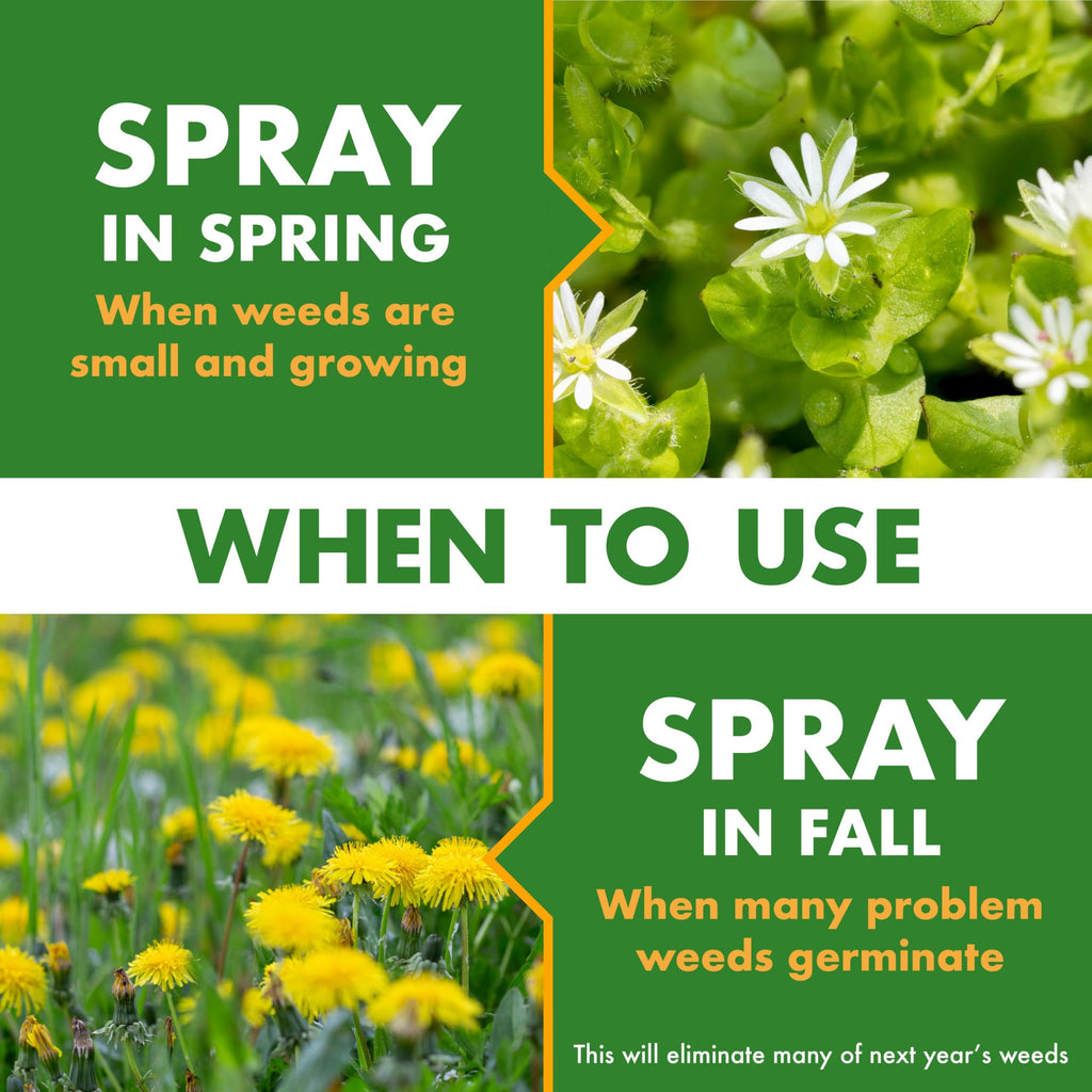 1 Gal Concentrate Weed Stop for Lawns G8676