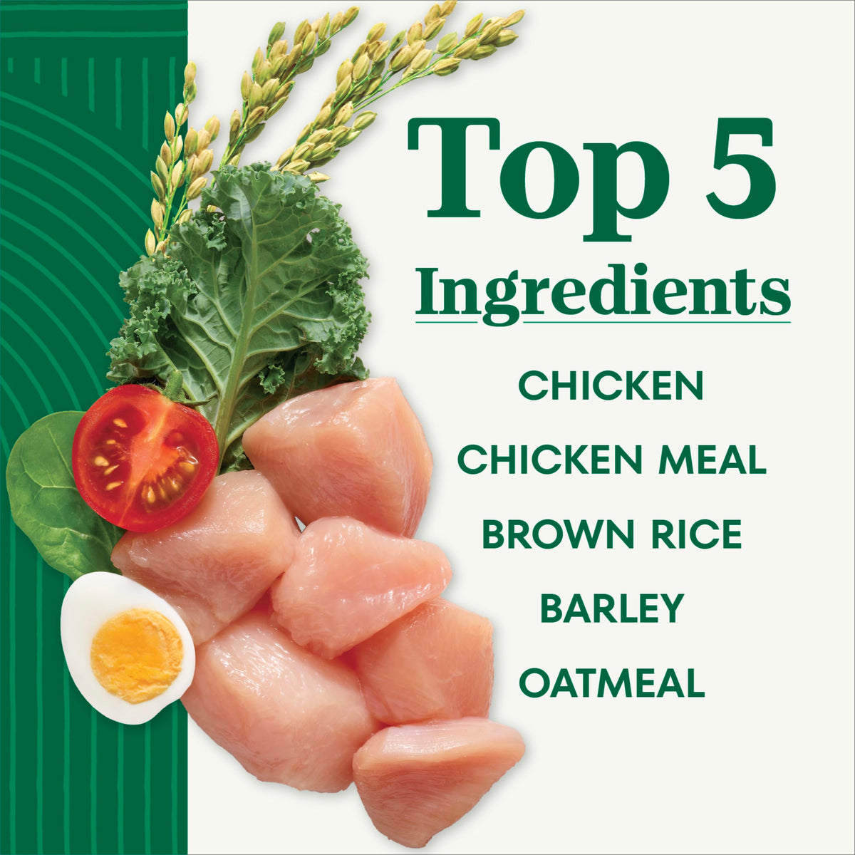 Chicken & Rice Dry Dog Food L467934
