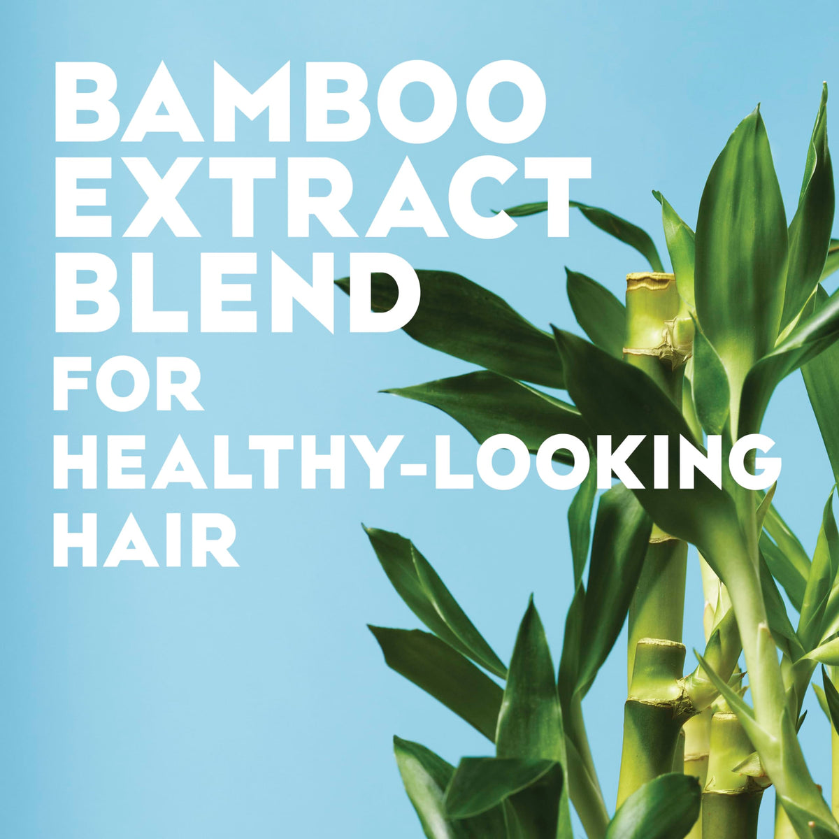 Coconut Oil Hydrating Hair Mist G165591