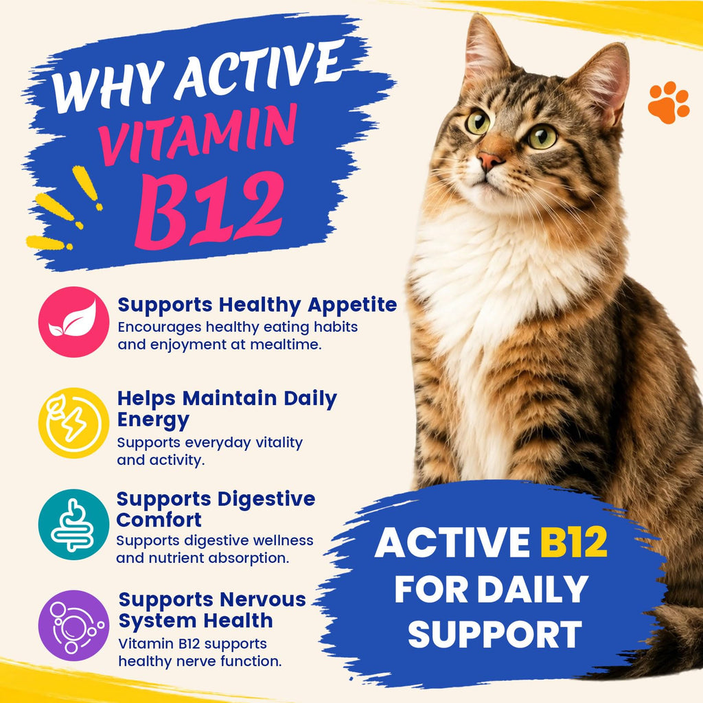 Vitamin B12 Supplement C7735