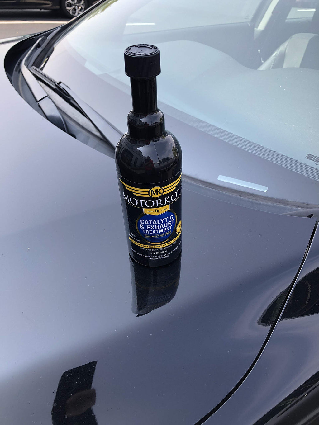 16 oz. Catalytic and Exhaust Treatment P68600
