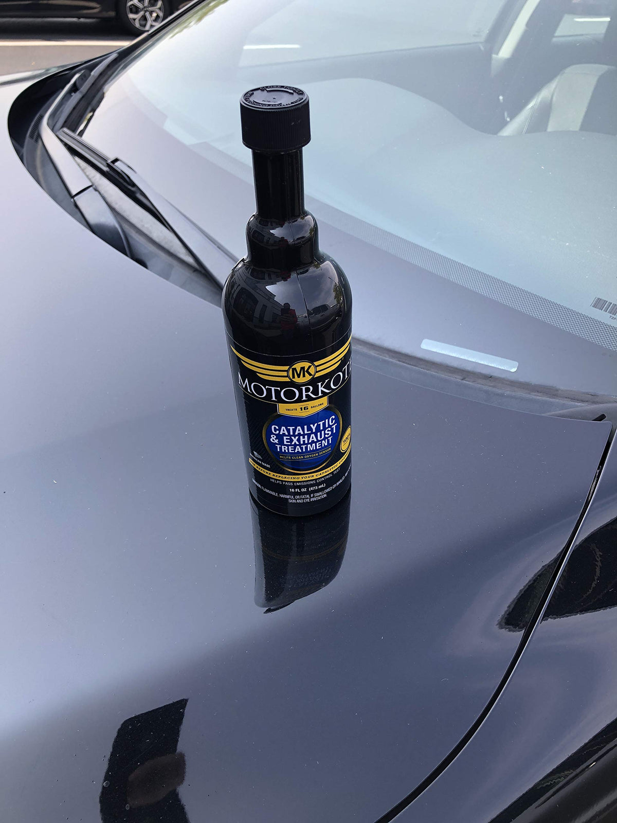 16 oz. Catalytic and Exhaust Treatment P68600