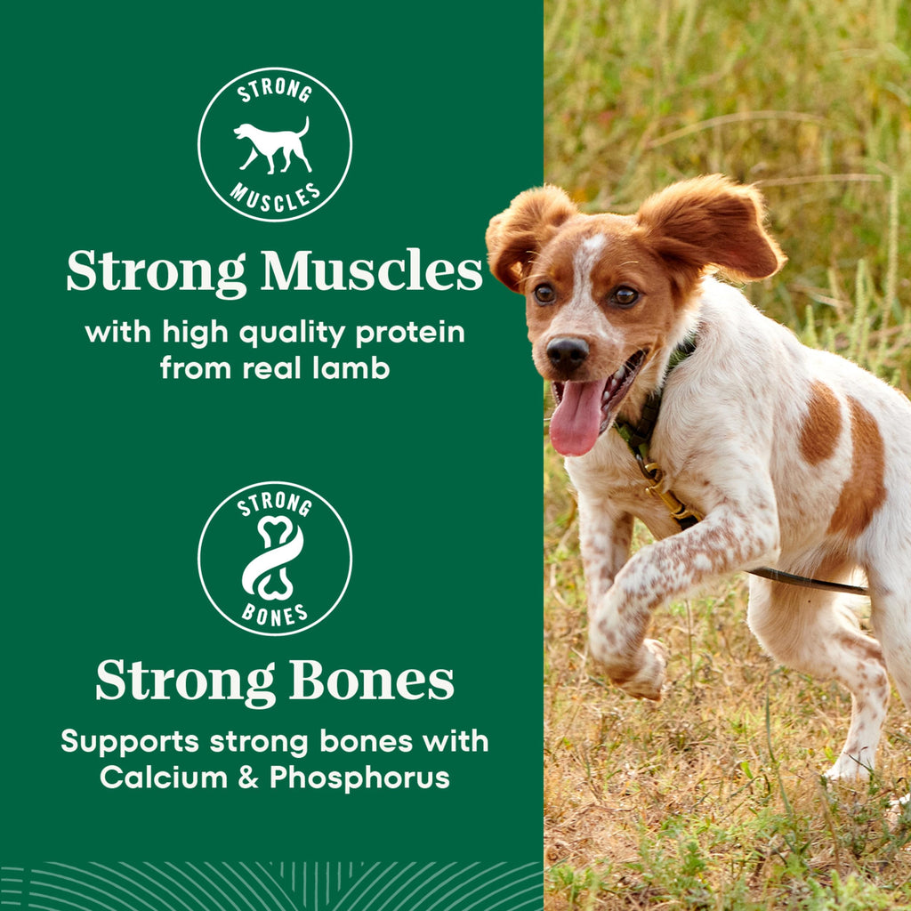 Chicken & Rice Dry Dog Food L467934