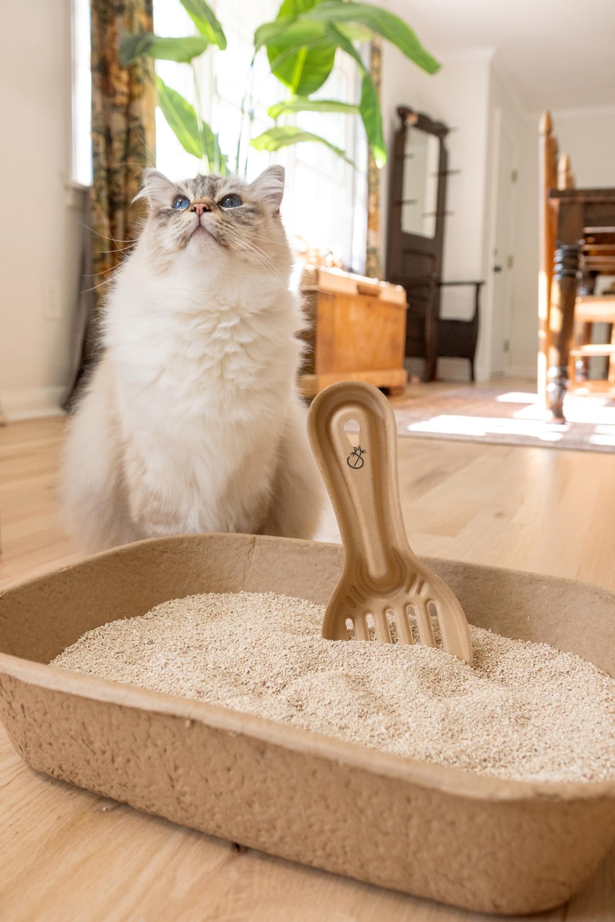 Disposable Cat & Rabbit Litter Scoops 6-Pack H22325