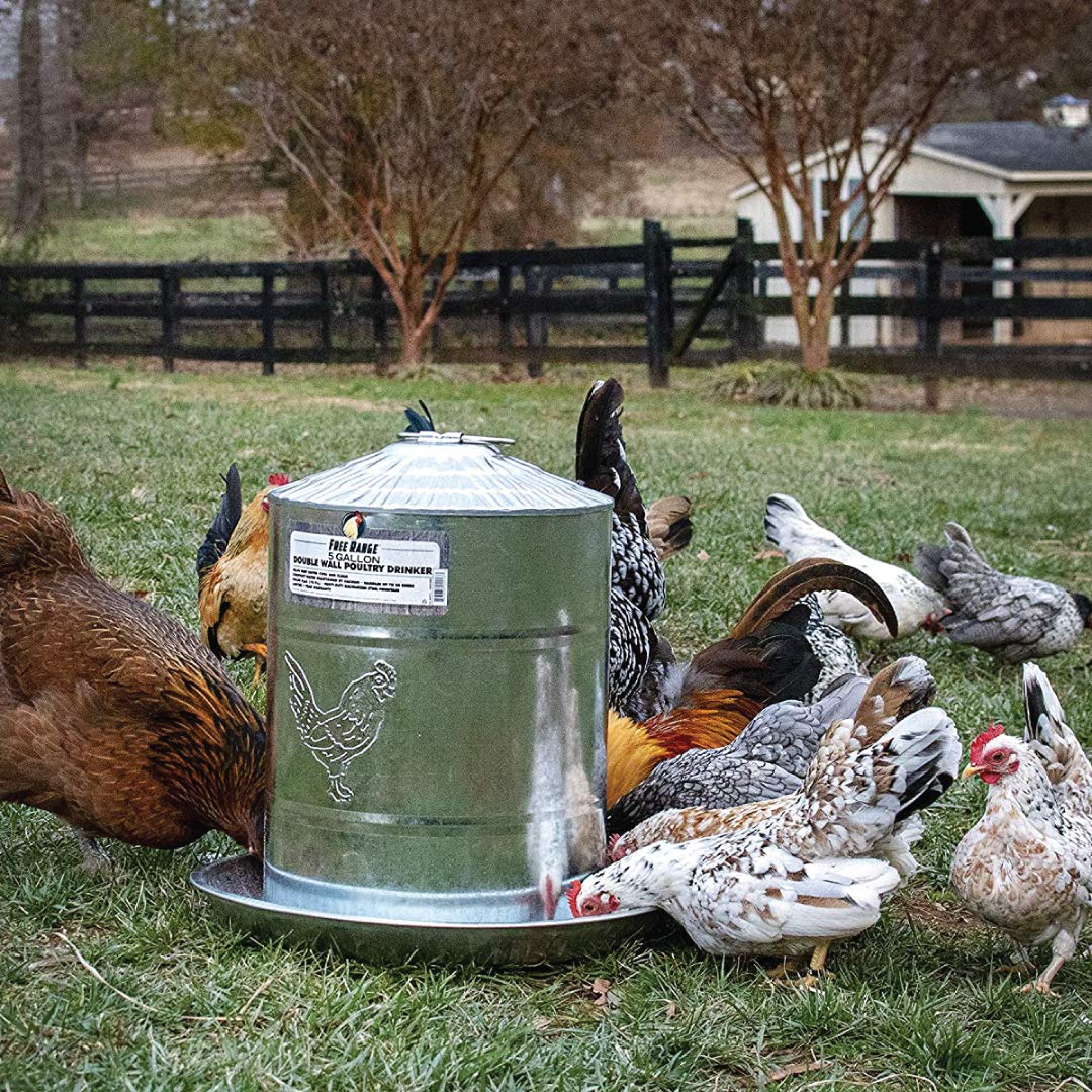 5 Gallons Double Wall Poultry Drinker W44160