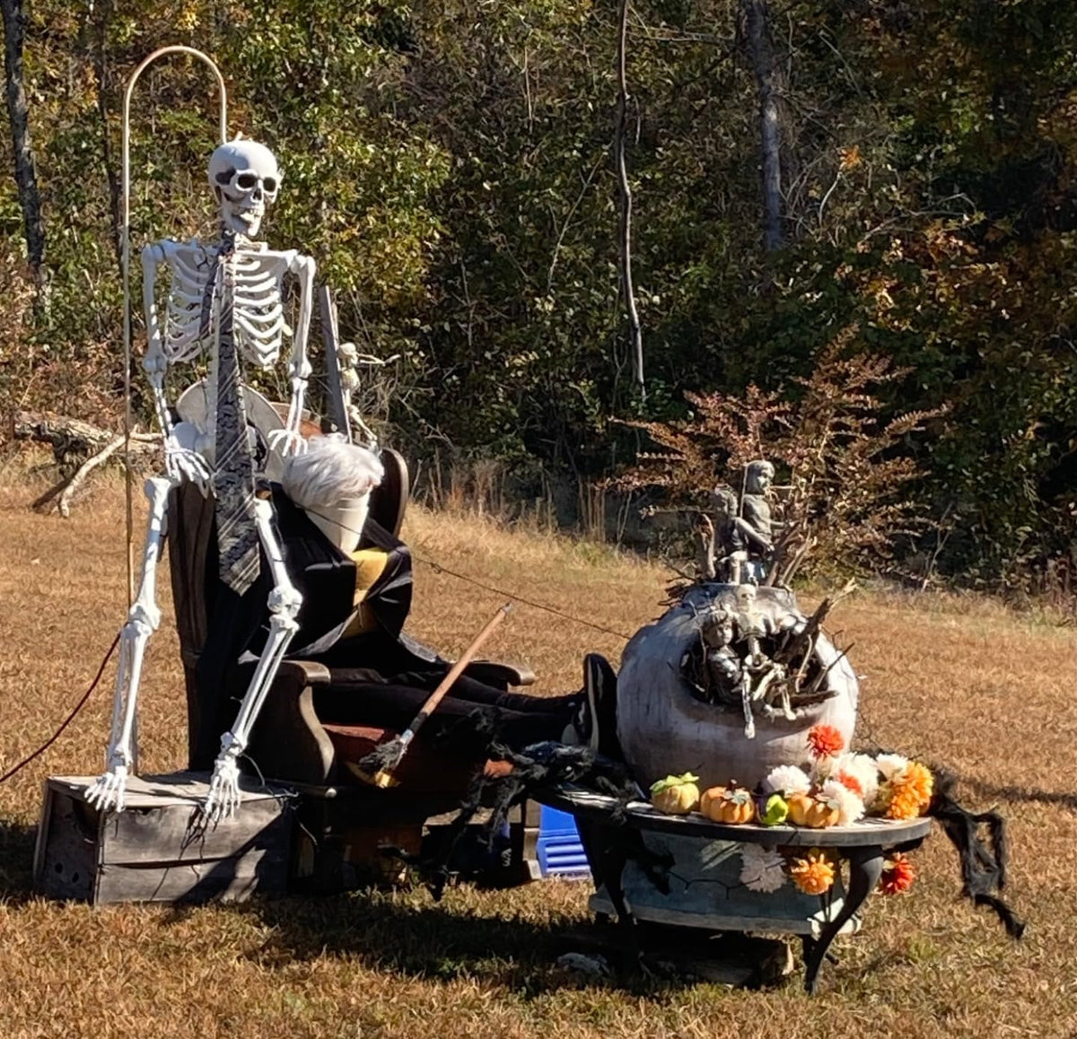 5.4ft Life Size Skeleton with Movable Joints F514694
