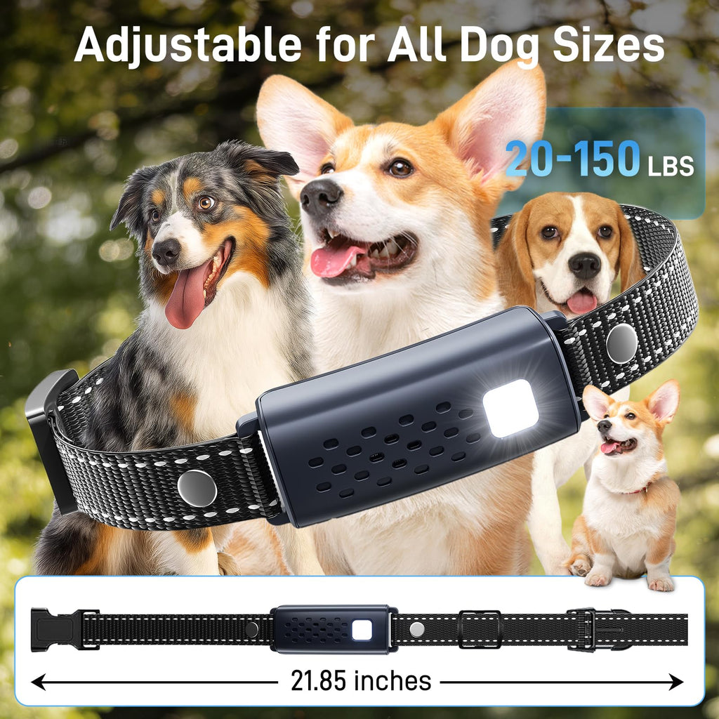 Waterproof Rechargeable Dog Training Collar with Remote W5220