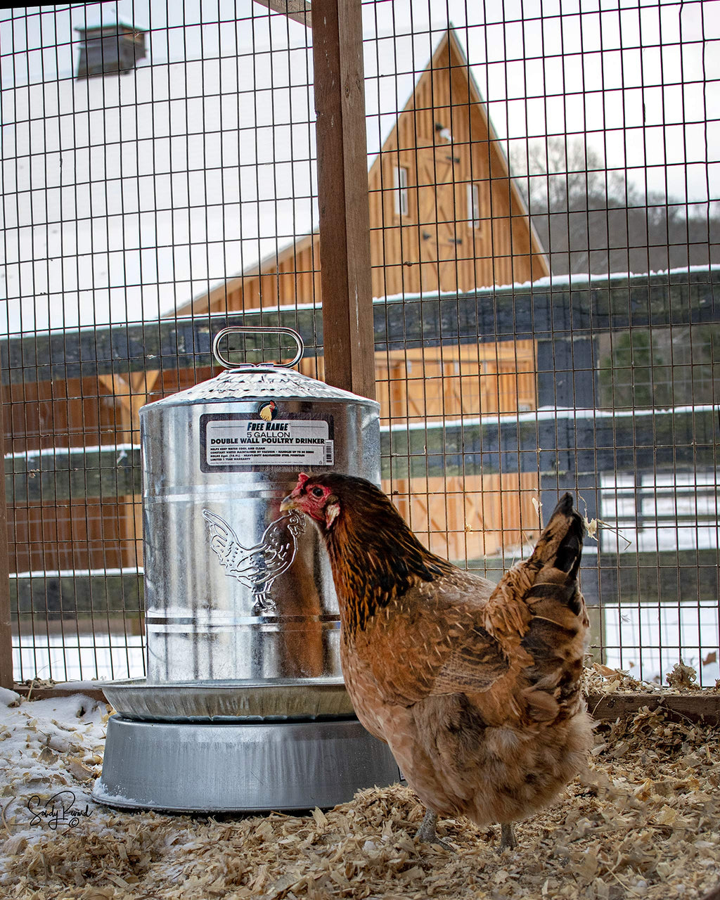 5 Gallons Double Wall Poultry Drinker W44160
